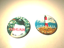 Souvenir Calamite frigorifero