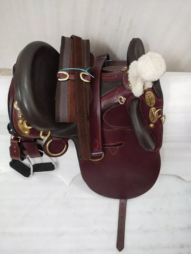 Bellissimo stock australiano