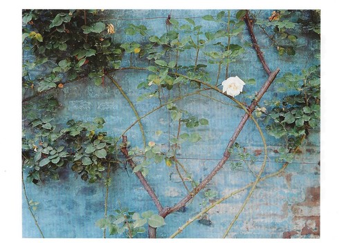 Cartolina luigi ghirri - cartolina,