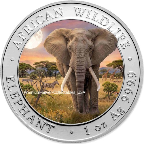 2025 somalia - 2025,