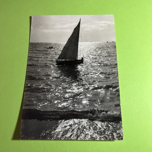 Barca vela mare - vela, onde