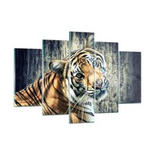 Quadro su Vetro 150x100cm India pietra tigre selvaggio Stampe Moderni Murale