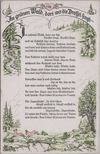 Cartolina nella foresta - cartolina,,