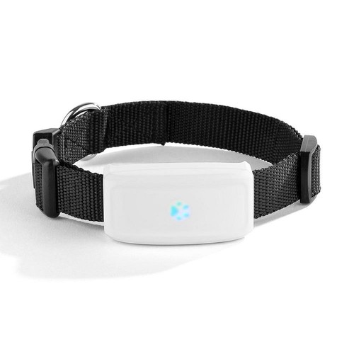Collare localizzatore gps - localizzatore, gsm