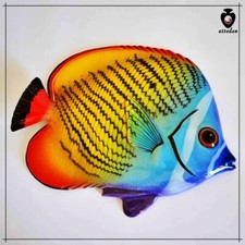 Pesci in ceramica farfalla