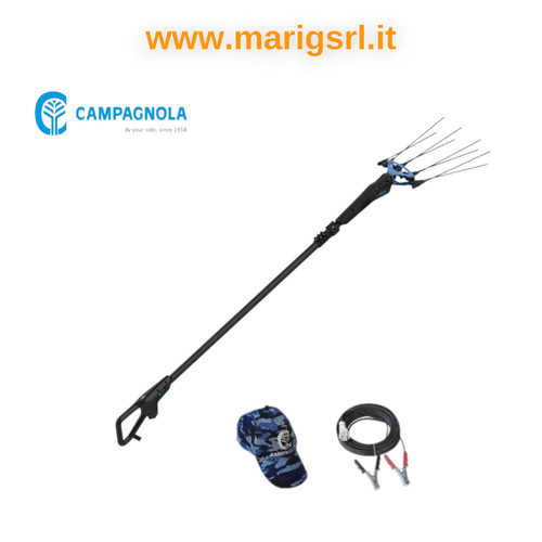 Abbacchiatore elettrico