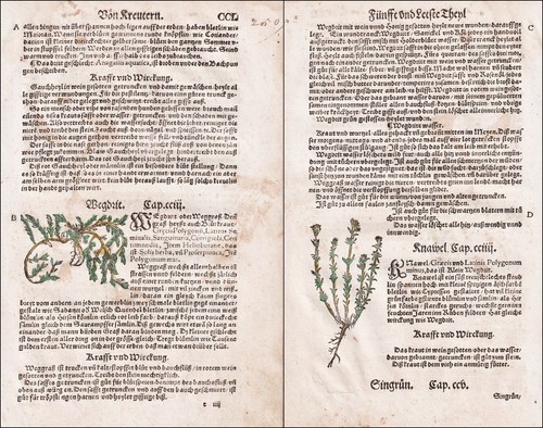 Wegdrit knäuelkräuter libro - wegdrit,