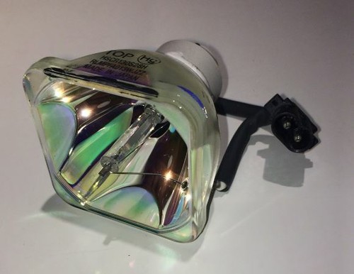 Lampadina originale oem nitida - lampadina,