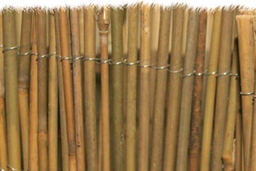 Arella mister bambu 150x300cm - bambu,