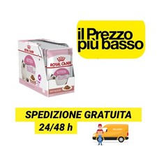 12 Royal Canin Bustine Umido