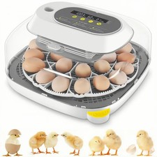 Incubatrice completamente