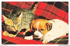 ASHP2-0098-GATTO - GATTO