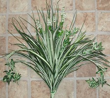 Pianta di ragno in seta