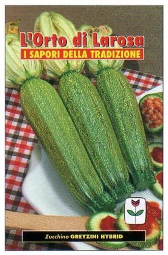Semi seeds zucchino greyzini - zucchino,