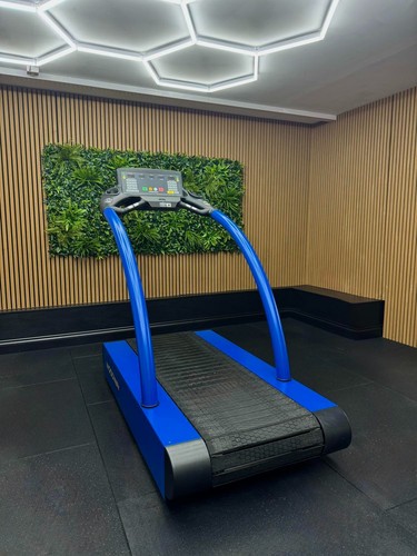 Woodway tapis roulant 4front - tapis,