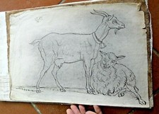 ANTICO DISEGNO CHINA   INCHIOSTRO AREA LOMBARDA 1700 XVIII BOZZETTO CAPRA PECORA