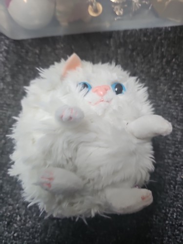 Peluche gatto persiano jay - peluche, at
