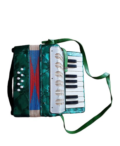 Fisarmonica accordion - fisarmonica,