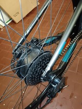 Bici elettrica modello mountain bike