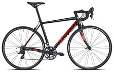 BICI CORSA TORPADO DESTRIERE