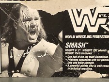 WWE Demolition Smash Hasbro