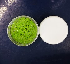 Lemna Minor  (vasetto 5X5cm o Su Apposito Sacchetino)