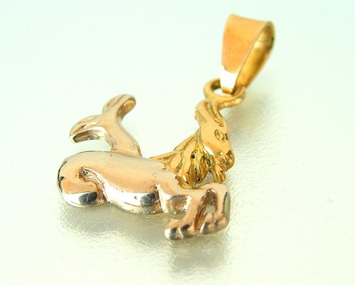 Segno zodiacale capricorno - zodiacale,