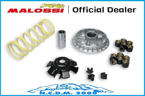Variatore malossi multivar - variatore,
