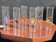 Set 6 Bicchierini Vetro Soffiato con Frutta