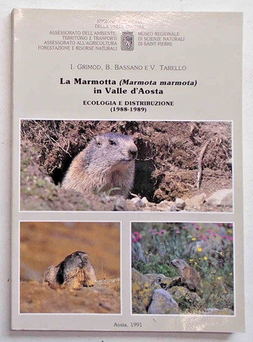 Grimod bassano tarello la - grimod,
