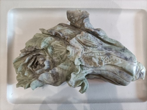 Bellissimo cavolo della