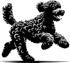  LAGOTTO ROMAGNOLO Adesivo Auto Adesivo Pellicola Silhouette #92