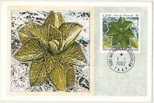 2002-Carte Maximum-TAAF-Chou