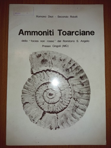 Ammoniti toarciane romano - -,