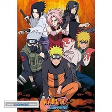 Naruto Shippuden - Gruppo -