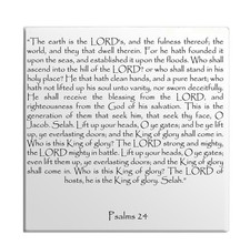 Calamita Frigo Salmi Capitolo