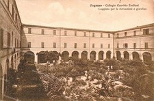 dr516 cartolina fognano, brisighella,provincia di ravenna