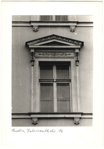 Fotografia schimmel - f.,