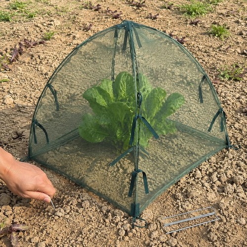 Tenda protezione per - di,