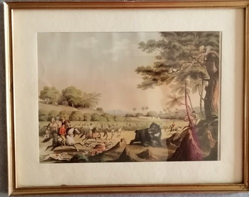 Quadro litografia inglese - quadro,
