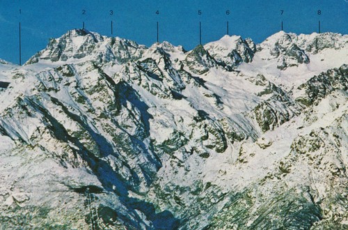 11487 cartolina parco - 11487,