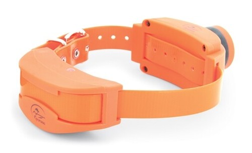 Sportdog sdr series - sportdog, sdr-ab
