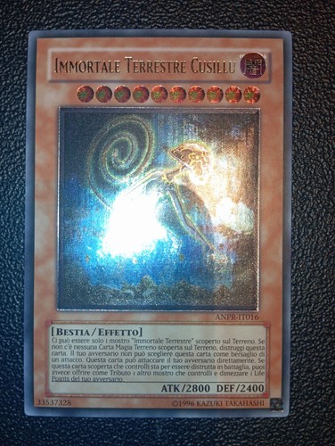 Immortale terrestre cusillu - terrestre,