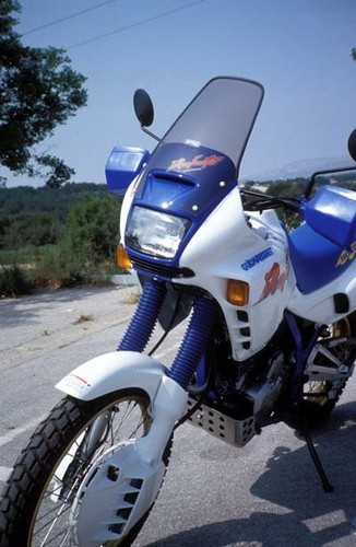 Cupolino dominator 650 1992