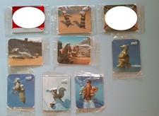 San Carlo 7 magneti calamite