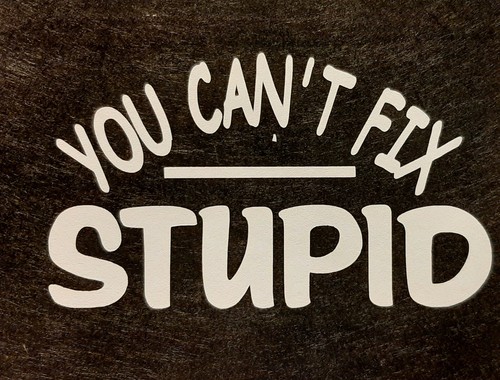 You can fix - can't, stupid