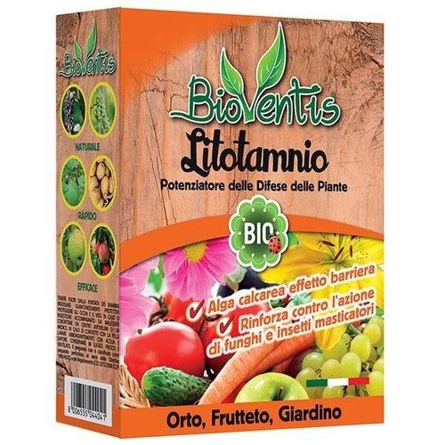 Polvere calcarea origine - polvere, di