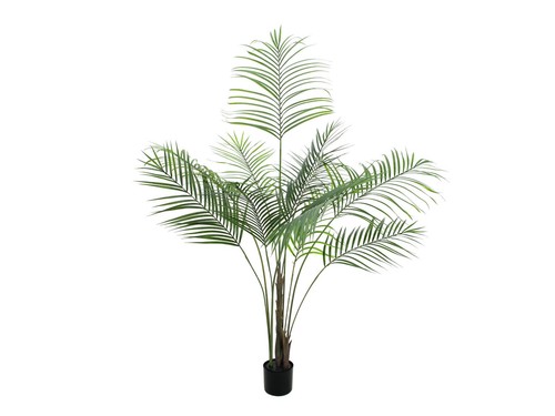 Europalms areca pianta - europalms, areca: