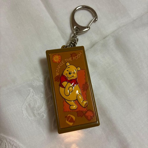 Tokyo disneyland winnie the - disneyland,