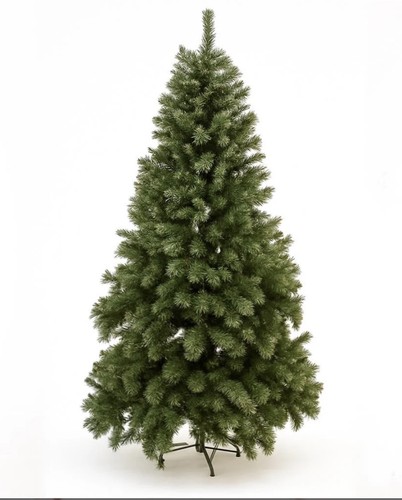 Albero natale montemauro - albero,